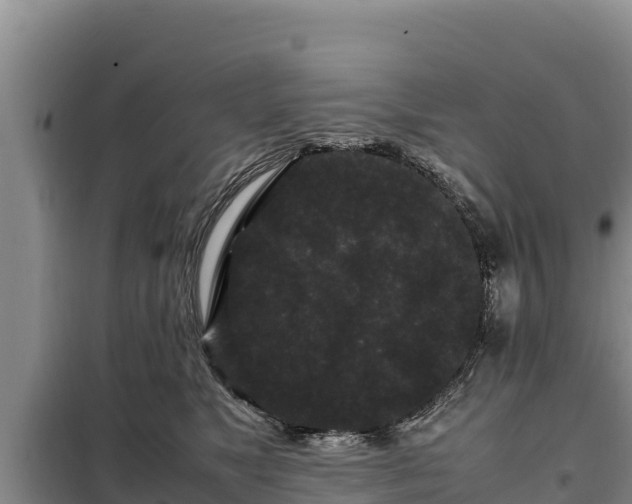 X0000099310517200805091021