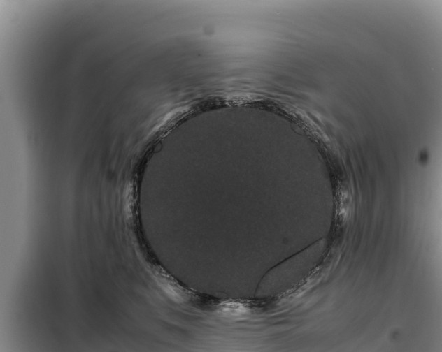 X0000099310519200805091021