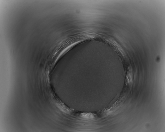 X0000099310520200805091021