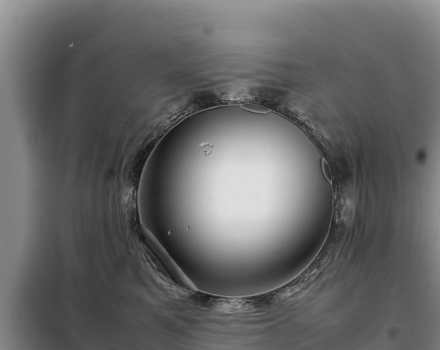 X0000099310521200805091020