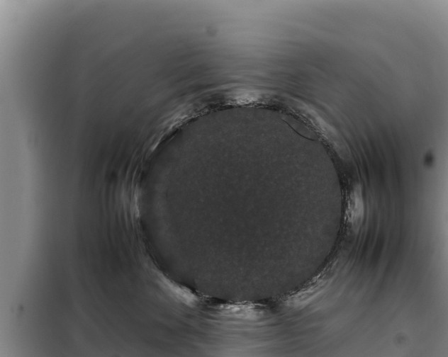 X0000099310524200805091020