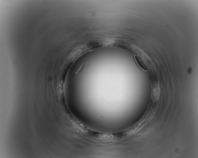 X0000099310525200805091020