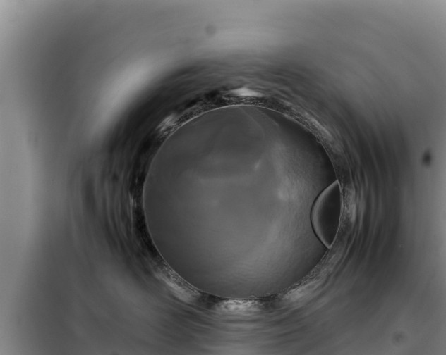 X0000099310526200805091020