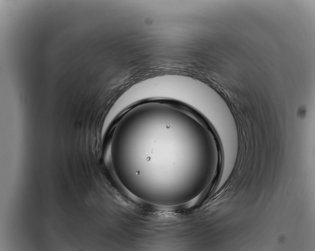 X0000099310528200805091020