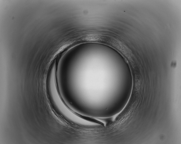 X0000099310530200805091020