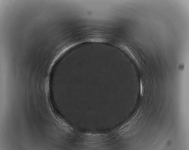 X0000099310531200805091020