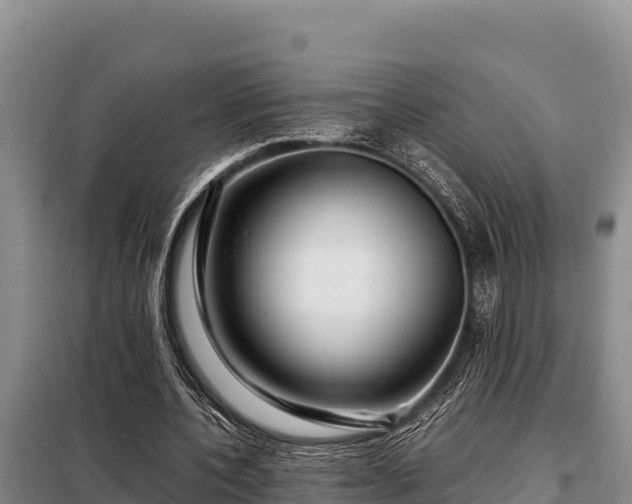 X0000099310532200805091020