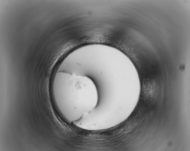 X0000099310534200805091020