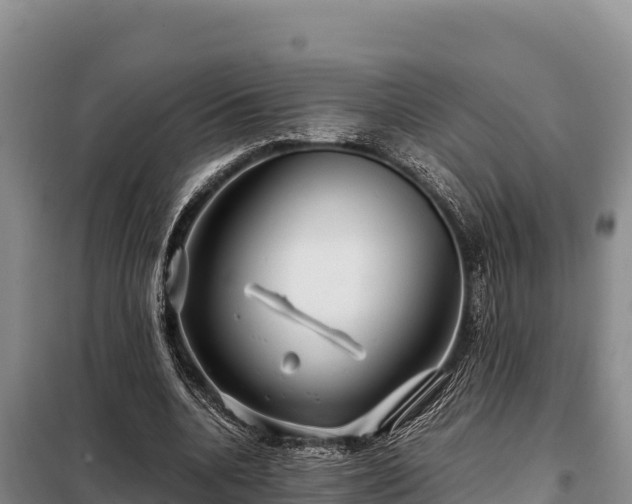 X0000099310536200805091020