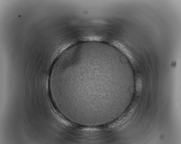 X0000099310537200805091020