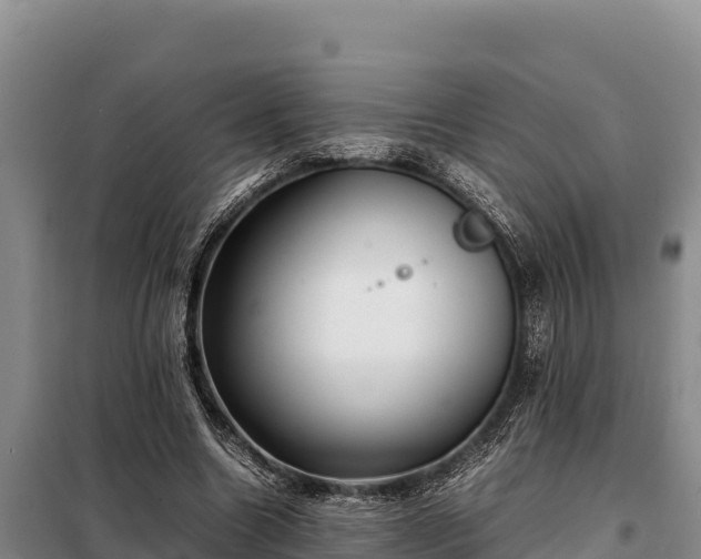 X0000099310538200805091020