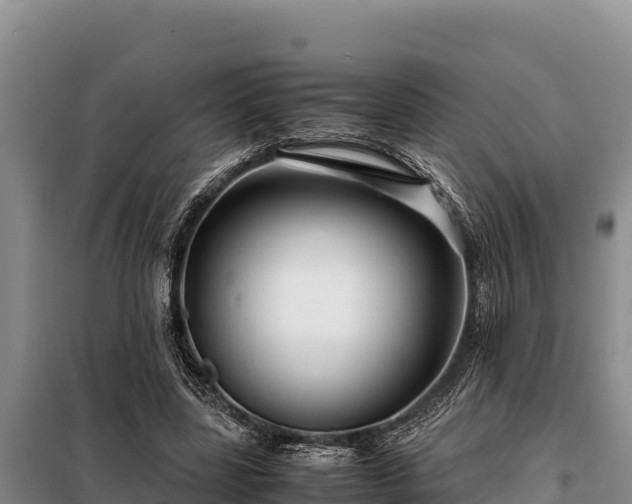 X0000099310539200805091020