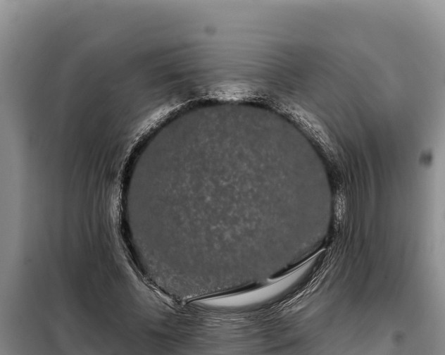 X0000099310540200805091020