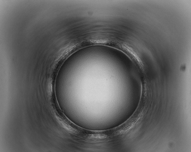 X0000099310541200805091020