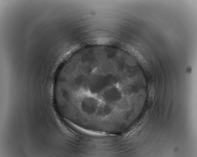 X0000099310542200805091020