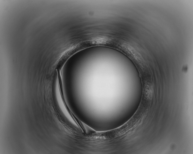 X0000099310543200805091020