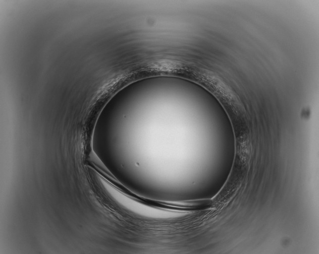 X0000099310544200805091020