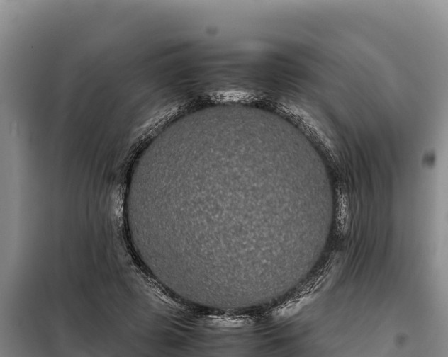 X0000099310545200805091020