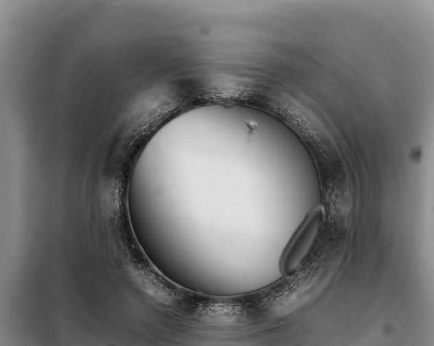 X0000099310546200805091020