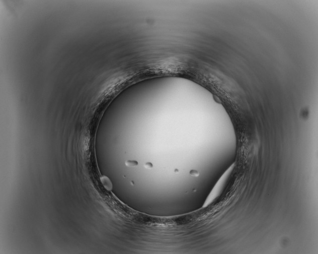 X0000099310548200805091020