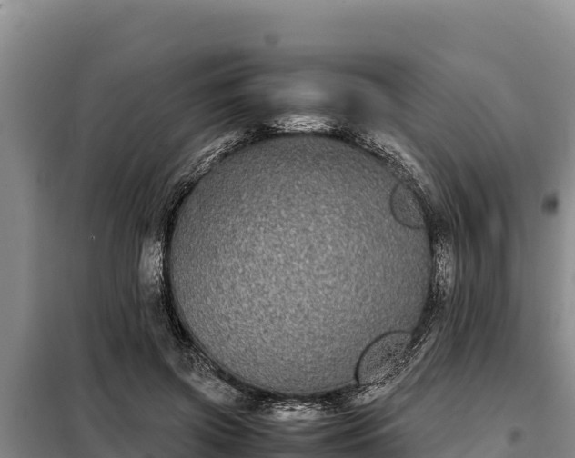 X0000099310549200805091020