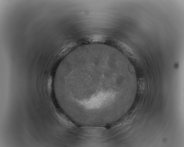 X0000099310550200805091020