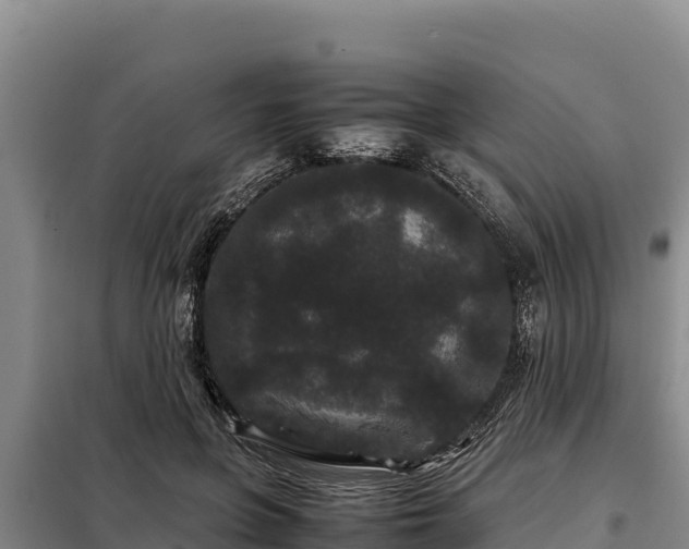 X0000099310551200805091020