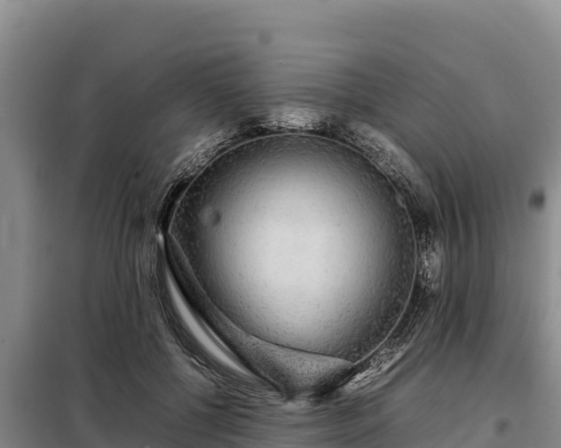 X0000099310552200805091020