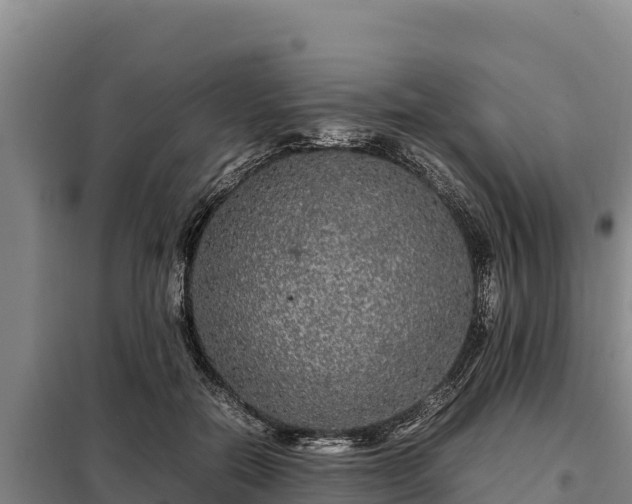 X0000099310554200805091020