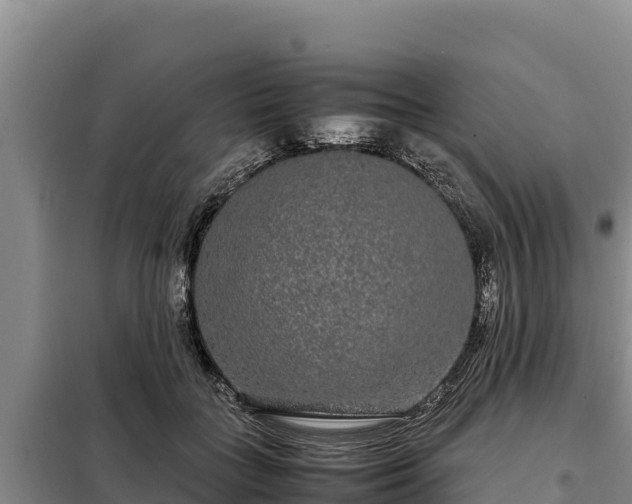 X0000099310555200805091020