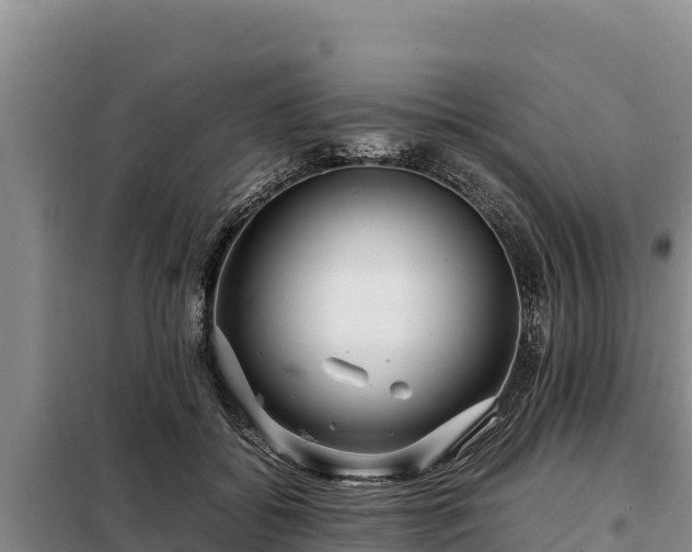 X0000099310556200805091020