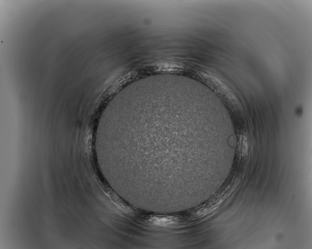 X0000099310557200805091020