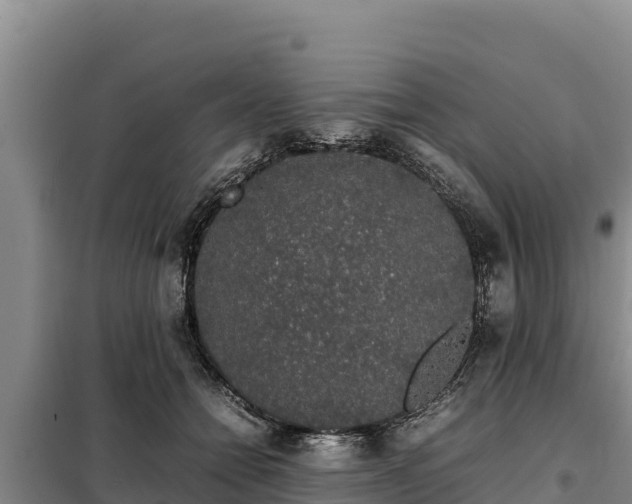 X0000099310558200805091020