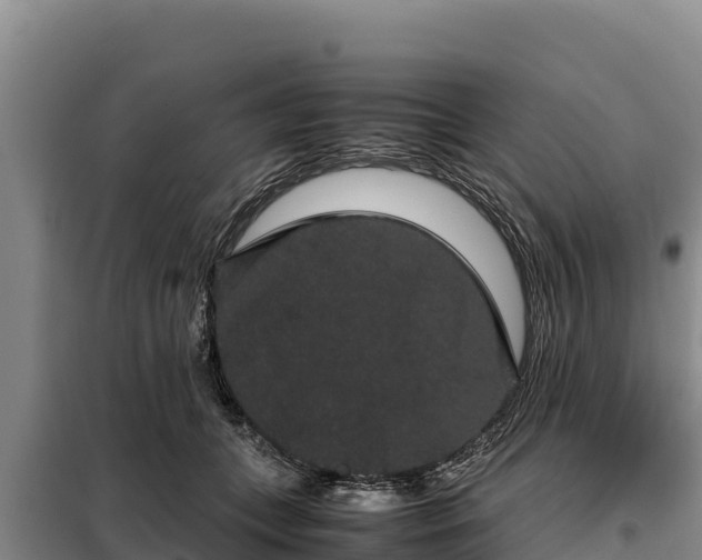 X0000099310559200805091020