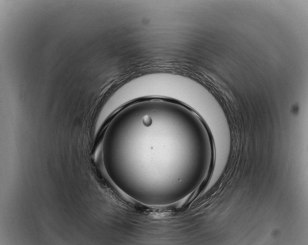 X0000099310560200805091020