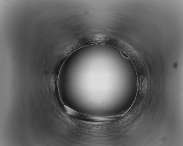 X0000099310562200805091020