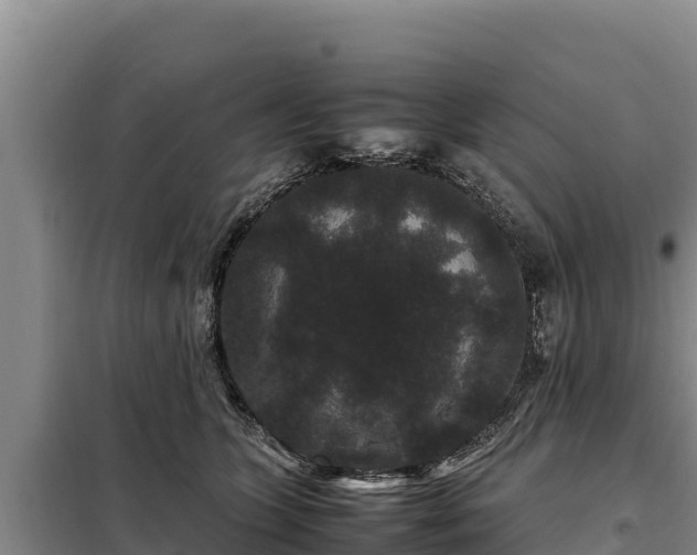 X0000099310563200805091020