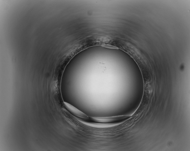 X0000099310564200805091020