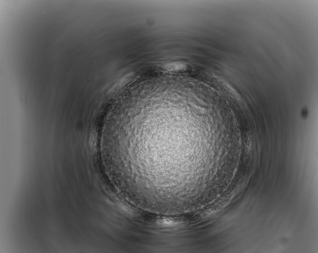 X0000099310565200805091020