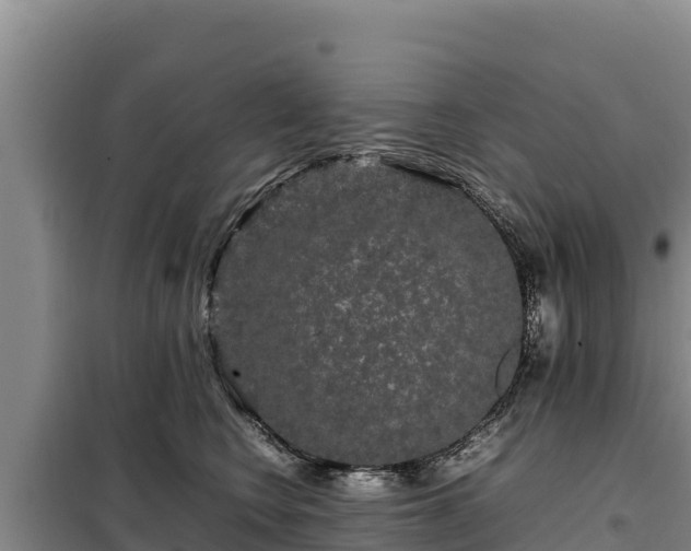 X0000099310566200805091020