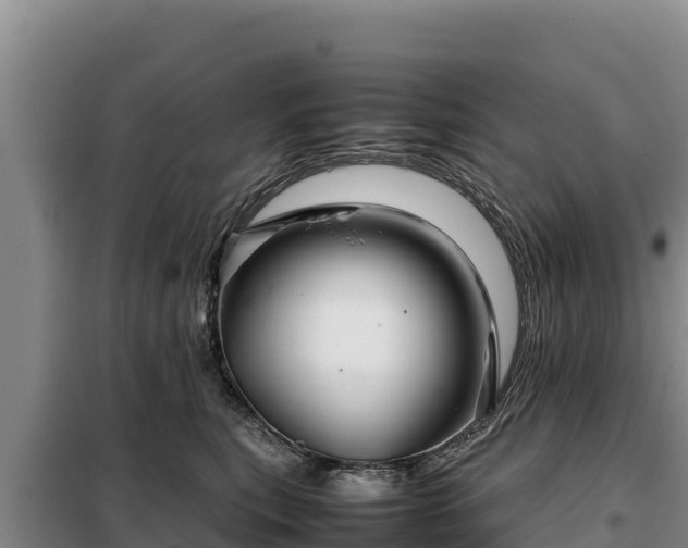 X0000099310567200805091020