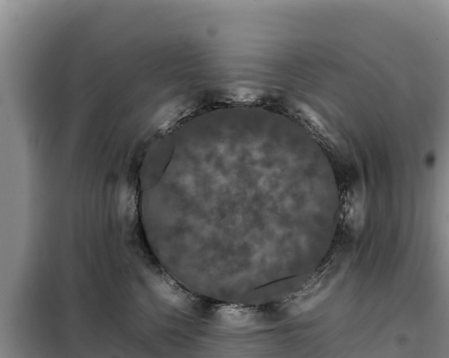 X0000099310568200805091020