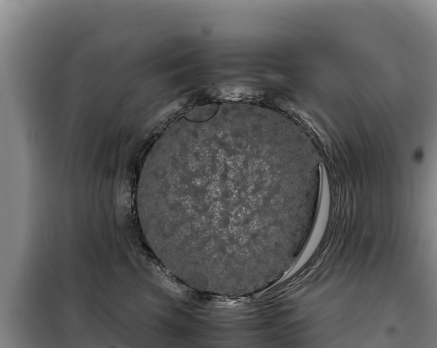 X0000099310569200805091020