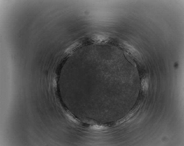 X0000099310570200805091020