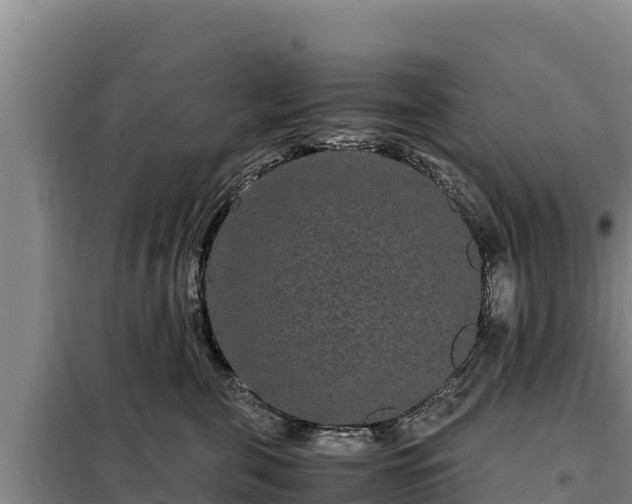 X0000099310571200805091020