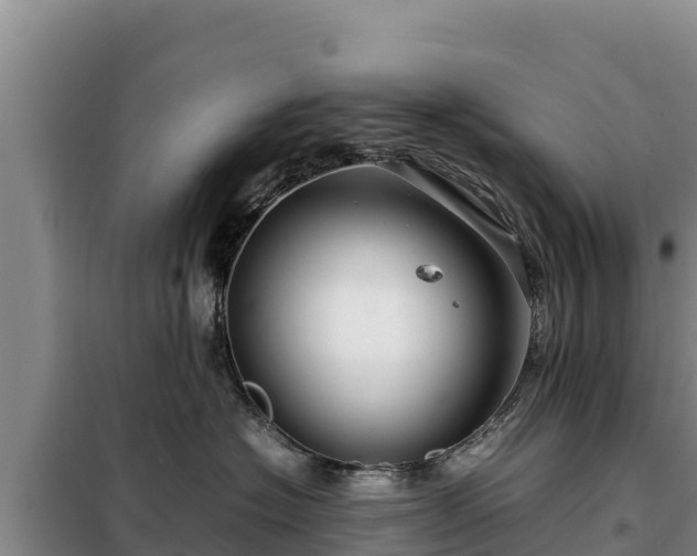 X0000099310574200805091020