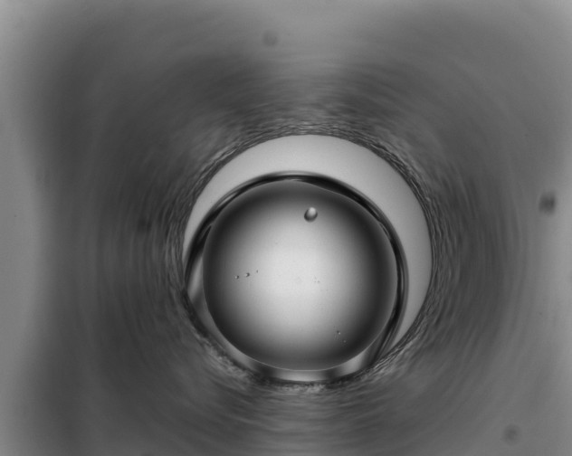 X0000099310576200805091020