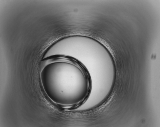 X0000099310577200805091020