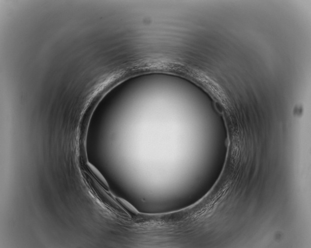 X0000099310578200805091020