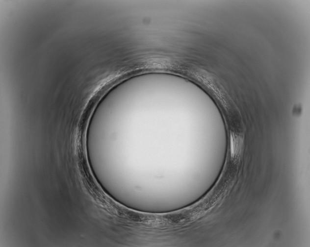 X0000099310579200805091020